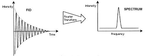 Fourier Transformation