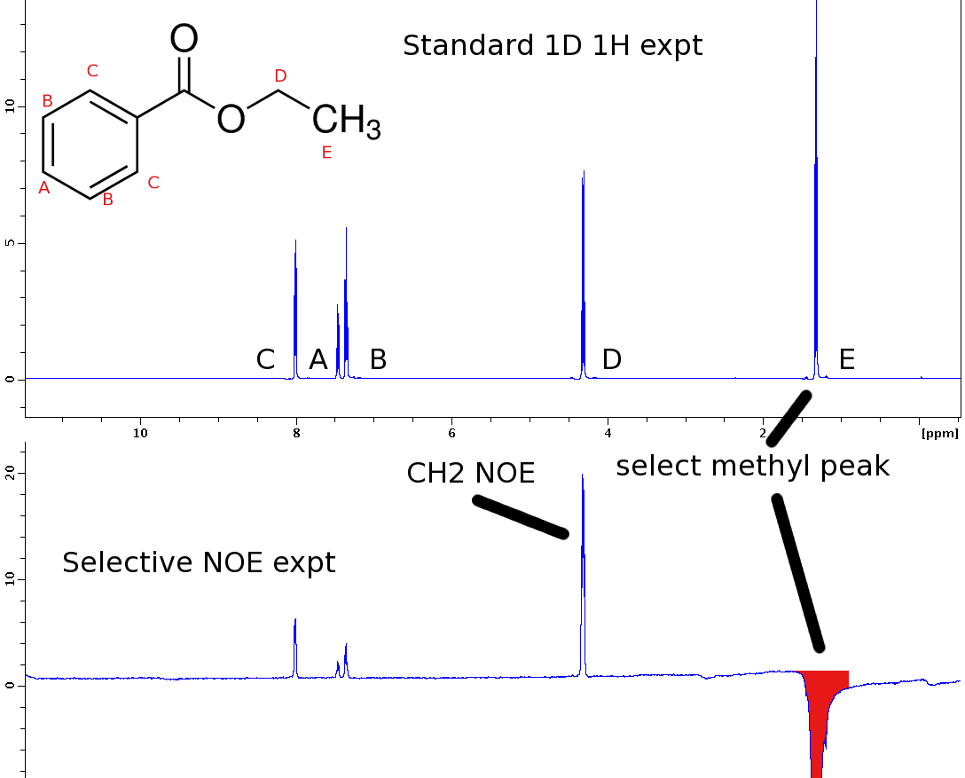 Selective_1D_NOE